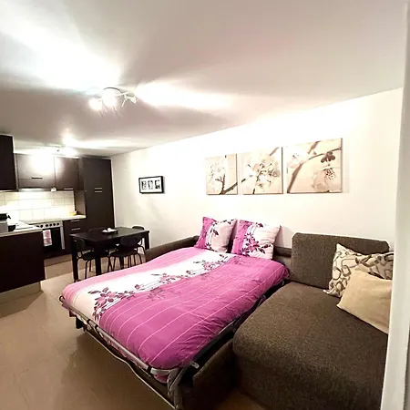 Leo Loft - Pool, Sauna & Free Parking Appartamento San Bernardino