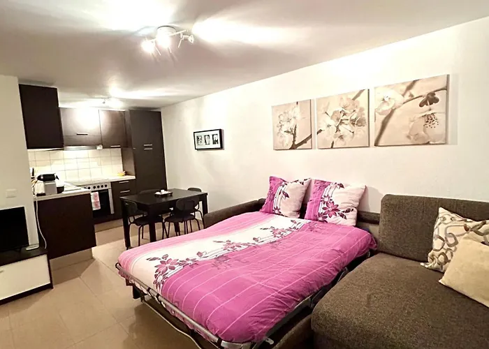 Leo Loft - Pool, Sauna & Free Parking Mesocco