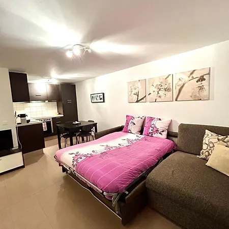 Leo Loft - Mountain Getaway Near Slopes Mesocco